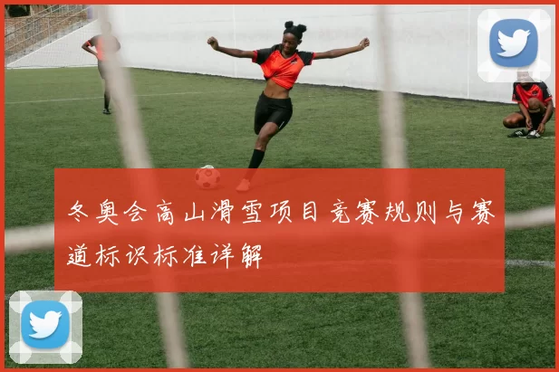 冬奥会高山滑雪项目竞赛规则与赛道标识标准详解