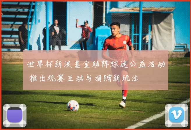 世界杯新浪基金助阵球迷公益活动 推出观赛互动与捐赠新玩法