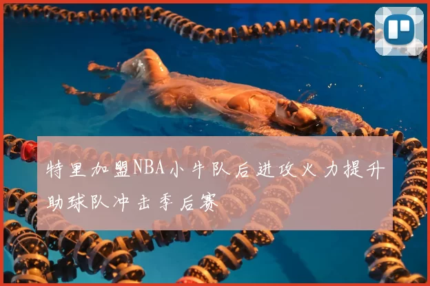 特里加盟NBA小牛队后进攻火力提升助球队冲击季后赛