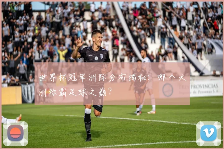 世界杯冠军洲际分布揭秘:哪个大洲称霸足球之巅?