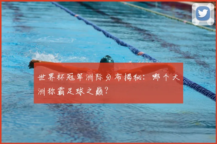 世界杯冠军洲际分布揭秘:哪个大洲称霸足球之巅?