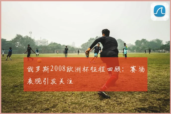 俄罗斯2008欧洲杯征程回顾：赛场表现引发关注
